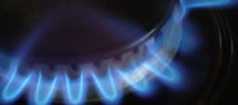 gas_safety gas safety