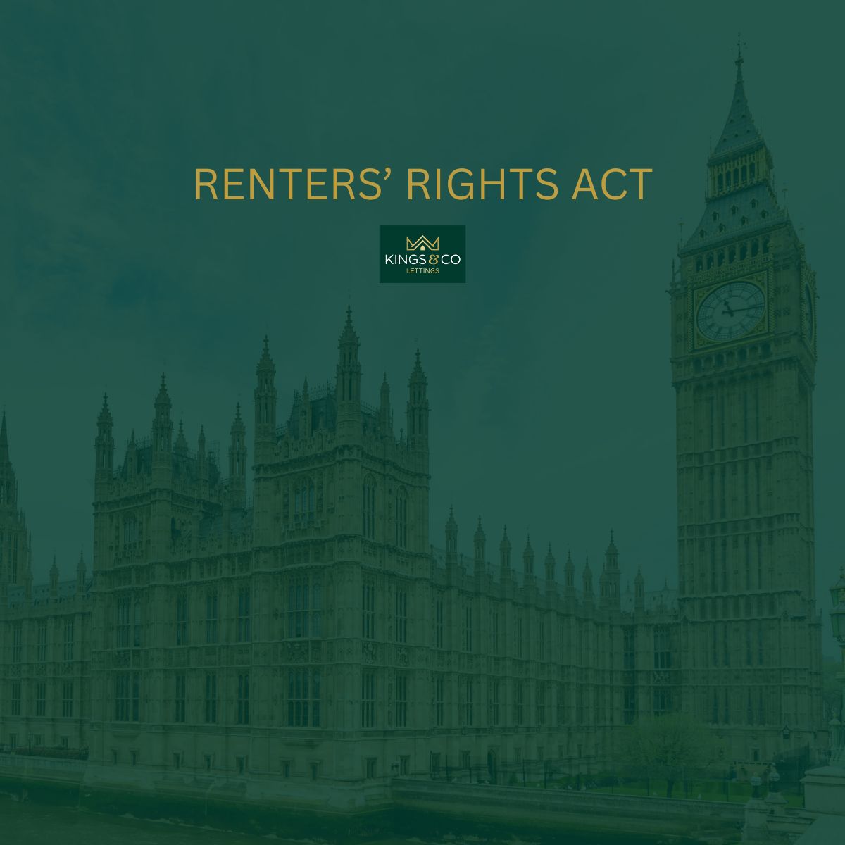 renters rights act Kings and Co Lettings blog