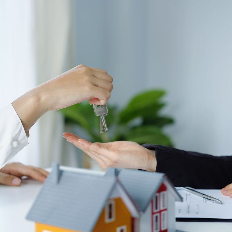 managed letting service