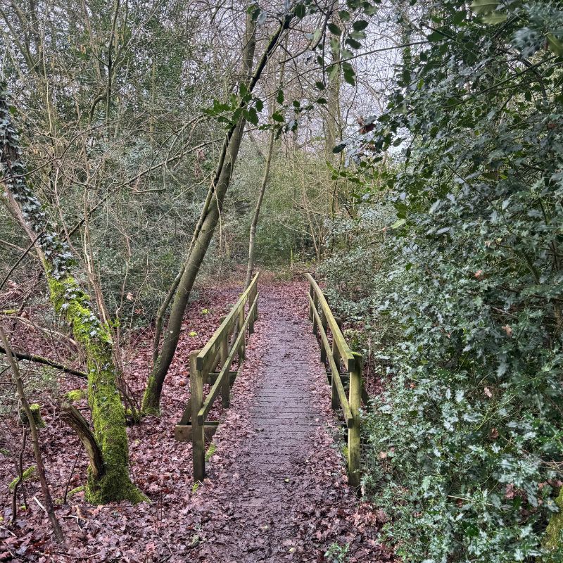 Around Attleborough NWT Thompson Common Pingo Trail