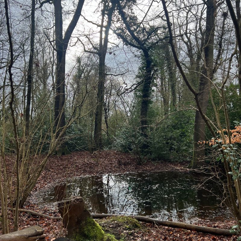 Around Attleborough The Pingo Trail