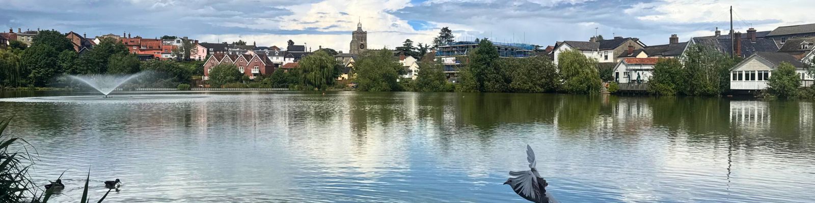 Diss living and renting Norfolk timage of Diss mere showing the wildlife and its close proximity to the town centre