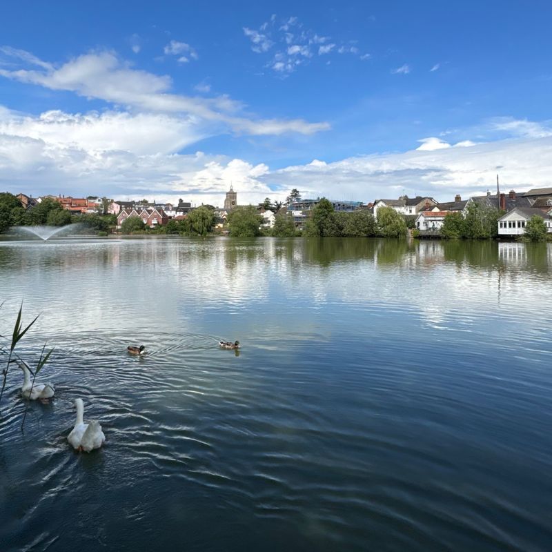 renting a property in Diss